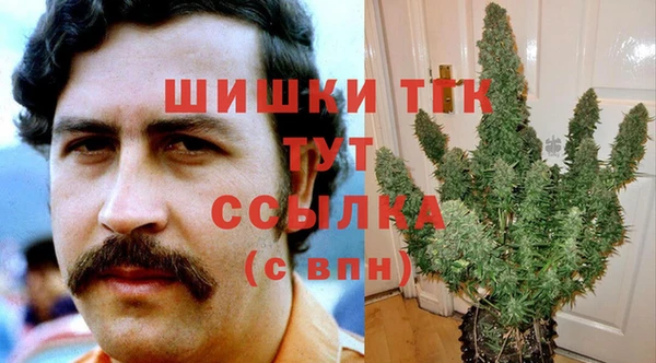 ГАЛЛЮЦИНОГЕННЫЕ ГРИБЫ Белокуриха