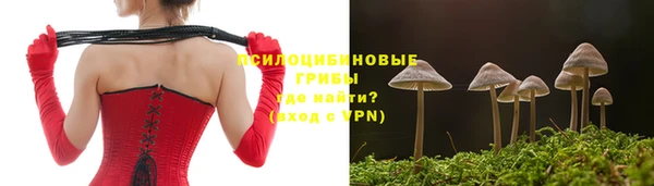 Альфа ПВП Беломорск
