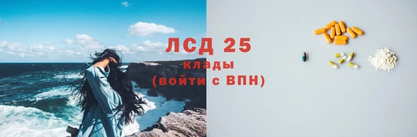 ГАЛЛЮЦИНОГЕННЫЕ ГРИБЫ Белокуриха