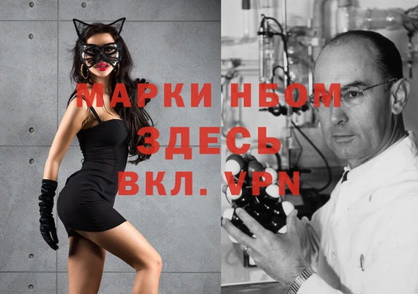 ГАЛЛЮЦИНОГЕННЫЕ ГРИБЫ Белокуриха