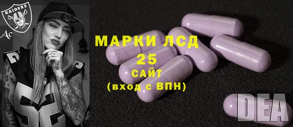 ГАЛЛЮЦИНОГЕННЫЕ ГРИБЫ Белокуриха