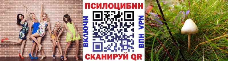 Псилоцибиновые грибы мицелий  Окуловка 